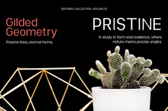 Mostox Product Image 10