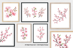 15 Bundle Watercolor Sakura Flower Cherry Blossom Japanese Product Image 4
