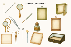 Secrets of the Insect Cabinet 51 Watercolor Cliparts Product Image 4