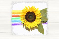 Sunflower Sublimation Design bundle, print with flower, PNG Product Image 4