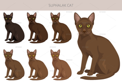 Suphalak cat clipart Product Image 3