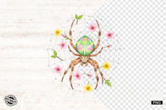 Spider Webs Clipart Product Image 1