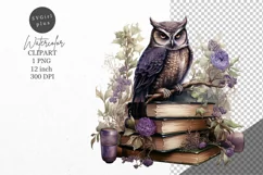 Owl on books clipart, Forest clipart, Birds clipart Product Image 1