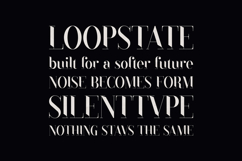 Black Goose Elegant Modern Serif Font Product Image 4