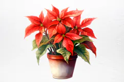 Christmas Houseplants Clipart PNG Product Image 4