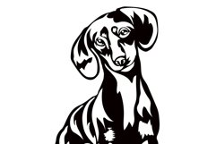 Dachsund dog/Dog Svg/Png/Jpg/Ai/Vector purebred breed/Pet Product Image 5