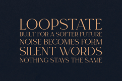 Regal Serif Elegant Modern Display Typeface Product Image 4