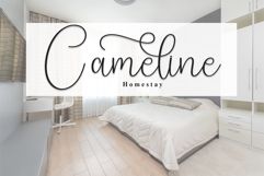 Sparkle Product Image 4