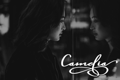 Cinderella Product Image 4