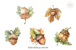 Pine Cones Product Image 4