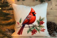 Christmas Cardinal Watercolor Clipart, Christmas Cardinal Product Image 4