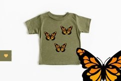Butterfly SVG - Butterfly Clipart, Butterfly PNG Product Image 2