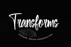 Sofewely Product Image 4