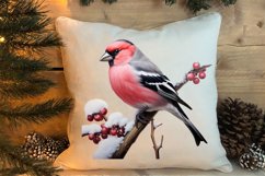 Christmas Birds Clipart , Christmas Birds Clipart Product Image 4