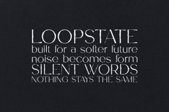 Garner Organic Handmade Serif Font Product Image 4