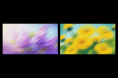 Artistic Floral Bloom Grainy Backgrounds Product Image 4