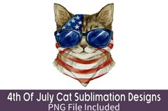 4th Of July Cat Sublimation Bundle Product Image 5