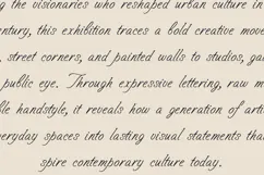 Sorel Lyrical Signature Script Font Product Image 4