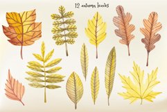 Watercolor Clipart “Autumn Vibe&quot; Product Image 4