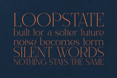 Alora Serif Font Modern Luxury Display Typeface Product Image 4