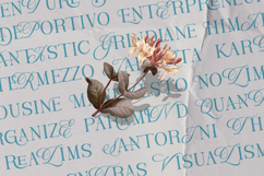 The Aveloria Product Image 4