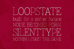 Lonely Moon Elegant Serif Font Product Image 4