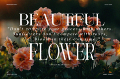 Theron Enroma | 17 Font Style Product Image 6