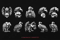 10 Bundle Dark Art Vultur Bird Death Buzzard Condor Gothic Product Image 6