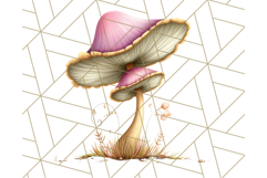 Mushroom Clipart, Realistic Forest Mushrooms PNG Product Image 4