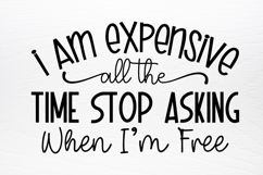 Funny Quotes Designs SVG Product Image 4