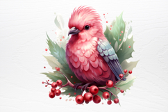Chirstmas Birds Clipart PNG Product Image 4