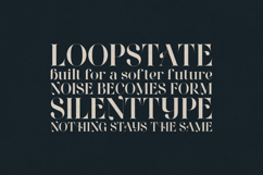 Wonderz Modern Editorial Serif Font Product Image 4