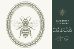 Calligraphic set of vintage flourishes Product Image 6