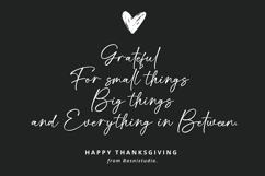 Cintarini Handwritten Font Product Image 4