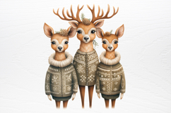 Classic Christmas Collection Sublimation PNG Product Image 4