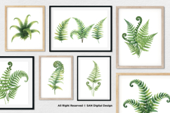 15 Bundle Watercolor Fern Leaf Botanical Aesthetic Tropical Product Image 4