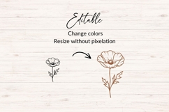 Poppies SVG Bundle | 10 Hand Drawn Floral Design Product Image 4