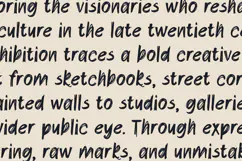 Sylve Expressive Brush Drawn Sans Font Product Image 4