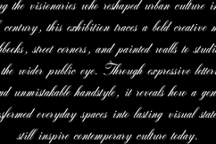 Armonia Aria Elegant Script Font Product Image 4