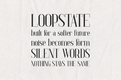 Baleine Elegant Modern Serif Font Product Image 4