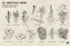 Medicinal herbs Part 2 Svg Png Eps Product Image 4