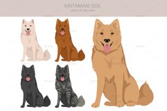 Kintamani Bali dog clipart Product Image 3