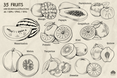 Fruits Line Art Illustrations SVG PNG EPS Ai Product Image 4