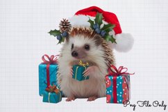 Christmas Hedgehog Clipart Bundle PNG Product Image 5