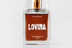 Snow House Product Image 4