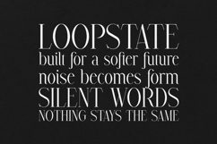 Avarice Elegant High Contrast Serif Font Product Image 4