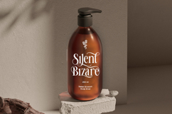 Shifer Blastone - Elegance Beauty Serif Font Product Image 4