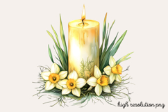 Springtime Daffodils Easter Clipart PNG Product Image 1