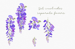 Magic vector wisteria flowers Product Image 5