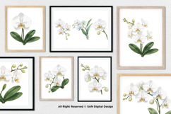 15 Bundle Watercolor Orchid Flower Blossom Botanical Product Image 4